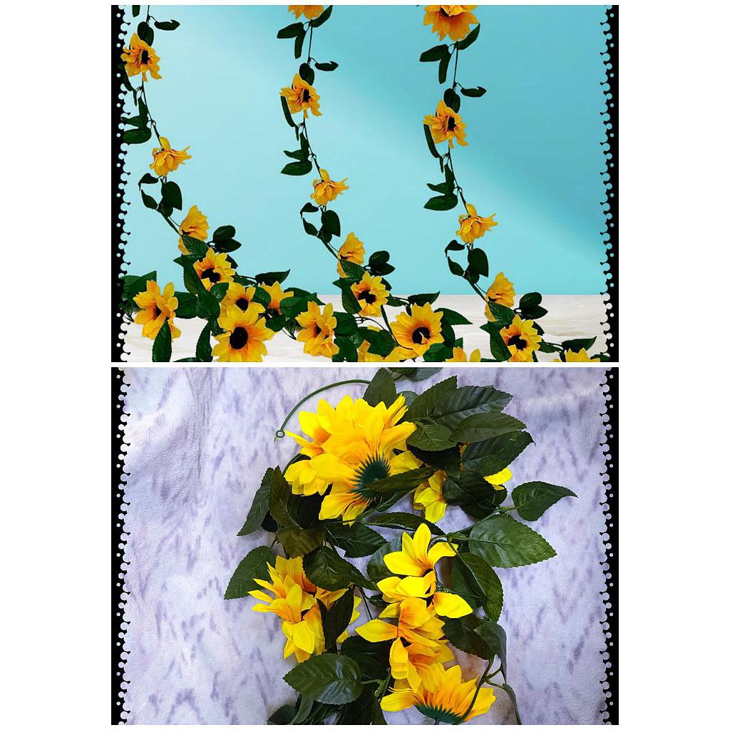 Enredadera de girasol 2 Mtrs