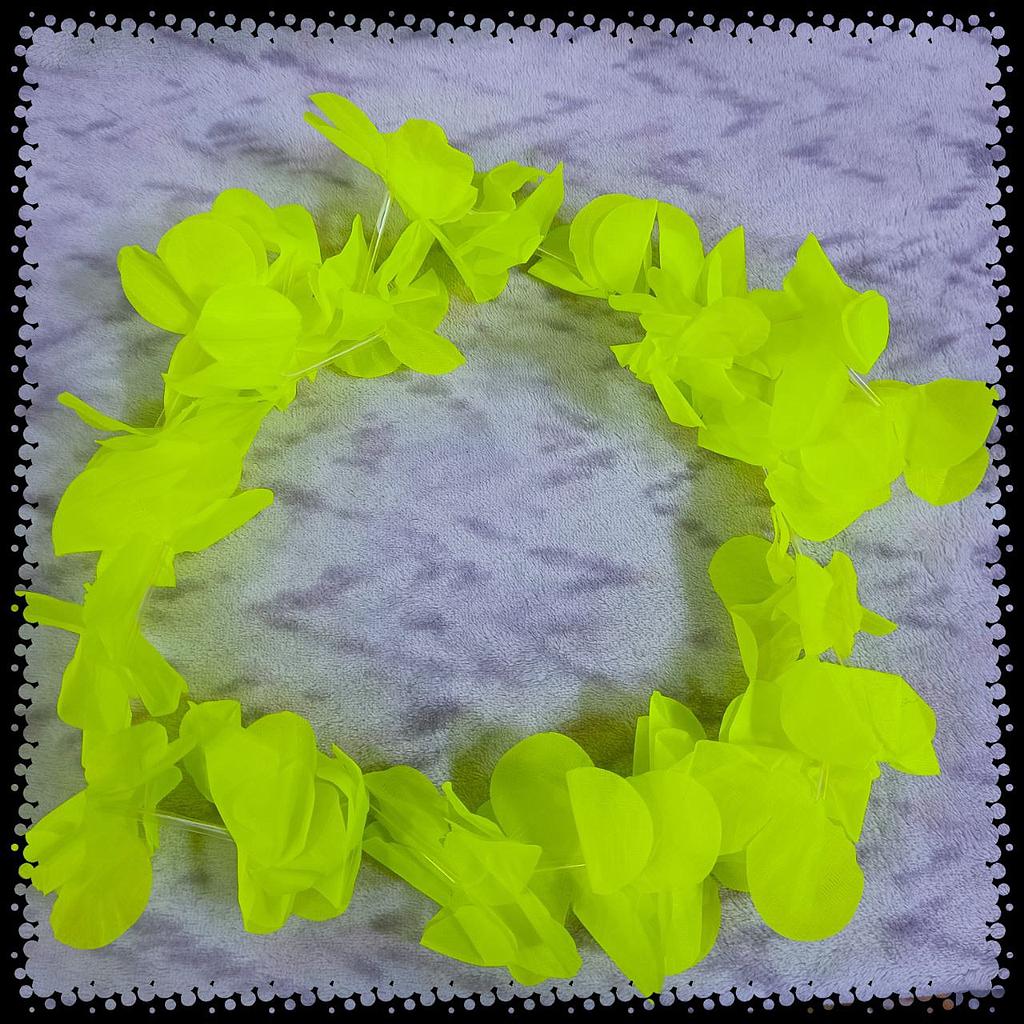 Hawaiana Gruesa x12 Unds