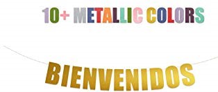 BANNER BIENVENIDOS